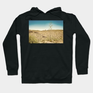 Century Plant in Arizona Hoodie